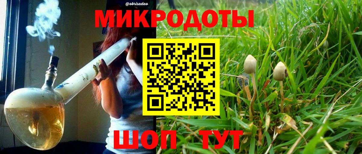 Галлюциногенные грибы MAGIC MUSHROOMS Долгопрудный