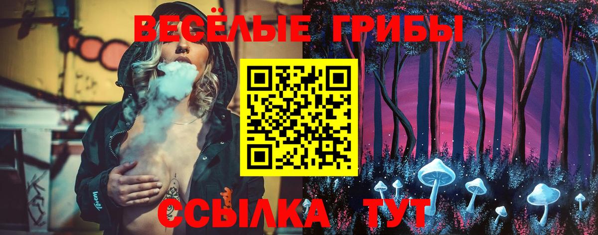 Долгопрудный  Псилоцибиновые грибы MAGIC MUSHROOMS  Вход с VPN 